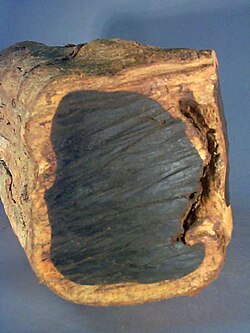 Ebony wood