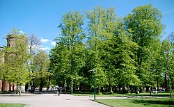 The Lundagård park in central Lund.