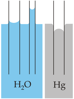 Capillary action of water (polar) compared to mercury (non-polar), in each case with respect to a polar surface such as glass (≡Si–OH)