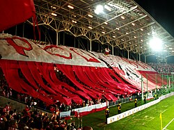 Polish football fans