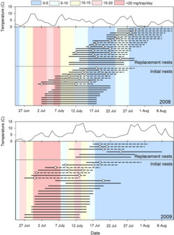 Differences in an Arctic shorebird phenology between a normal and a hotter year.[23]