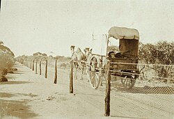 The No. 1 rabbit-fence in Western Australia (1926)