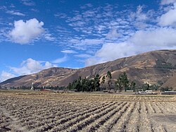 Field in the Pampas region, which produced a vast quantity of Argentine exports under the policies of the Generation of '80