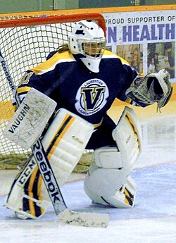 Voyageurs' women's hockey team 2013–14