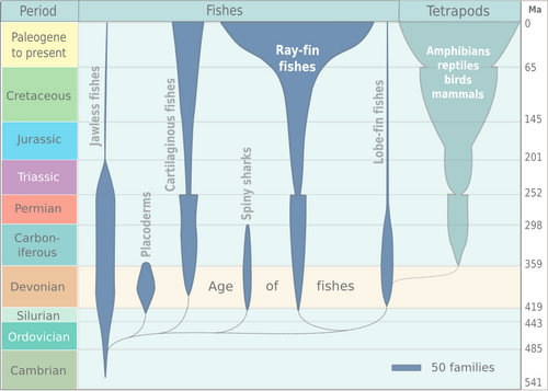 Diversity of various groups of vertebrates through the geologic ages. The width of the bubbles signifies the number of families.