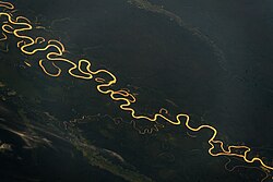 Juruá River surrounded by the dense Amazon rainforest, which is home to uncontacted tribes to this day