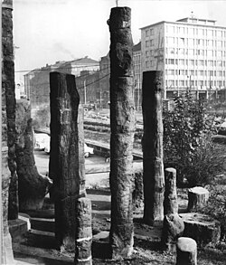 Large trunks of Arthropitys at Chemnitz