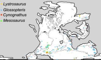 Distribution of four Permian and Triassic fossil groups used as biogeographic evidence for continental drift, and land bridging