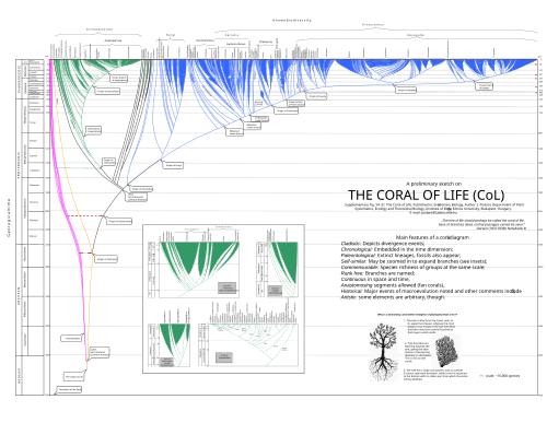 The Coral of Life