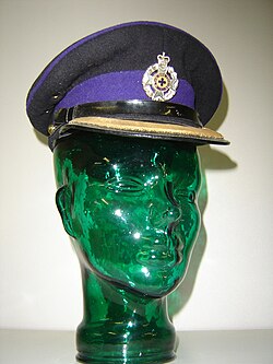A post 1953 RAChD No.1 dress cap