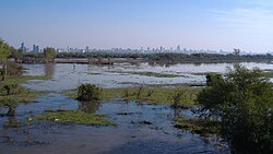 Semi-flooded islands in the Upper Delta, off the coast of Rosario