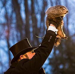 Punxsutawney Phil is held aloft on Groundhog Day by a top hat-wearing member of the Inner Circle