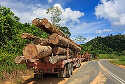 A lorry carrying timber in Tawau. Logging has contributed over 50% of the state revenue.[237]