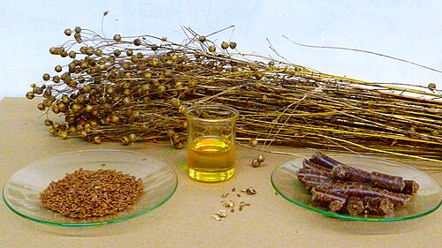 Flax, flax seeds, linseed oil, linseed cake