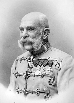 Emperor Franz Joseph was 84 years old in 1914. Though disturbed by the murder of his heir and nephew, Franz Joseph largely left decision-making during the July Crisis to foreign minister Leopold Berchtold, army chief of staff Franz Conrad von Hötzendorf, and the other ministers.[27]