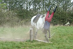 Fall of rider results in elimination