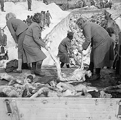 Schutzstaffel (SS) women camp guards removing prisoners' bodies from lorries and carrying them to a mass grave, inside the German Bergen-Belsen concentration camp, 1945