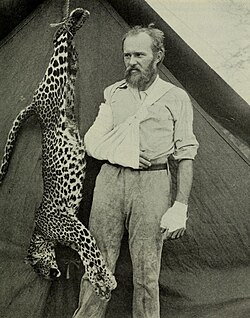 An African leopard killed by Carl Akeley (right) barehanded