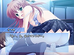 Image of an eroge (Japanese-style adult video game)
