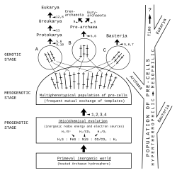 Early diversification of life with Kandler's pre-cell theory (Kandler 1998, p. 22)[69]