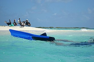 Madrisquí Island, Los Roques