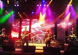Električni Orgazam performing in 2008