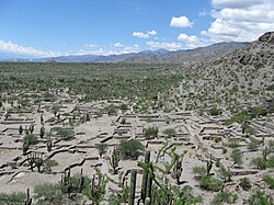 Ruins of the Quilmes civilization, a Diaguita culture