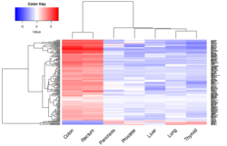 Heatmap of RNA-Seq data showing two dendrograms in the left and top margins.