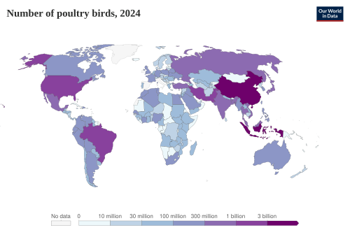Poultry livestock count