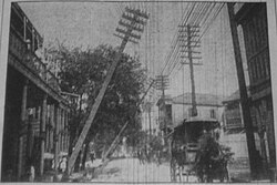 Telephone and Telegraph Poles Wrecked in Felicity Street in New Orleans, from the hurricane
