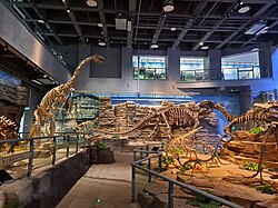Yanji Dinosaur Museum