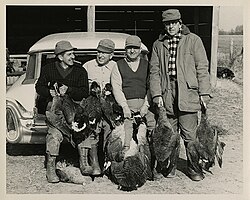 Goose Hunt c. 1960
