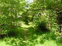 Section of dismantled railway south of Fort Augustus