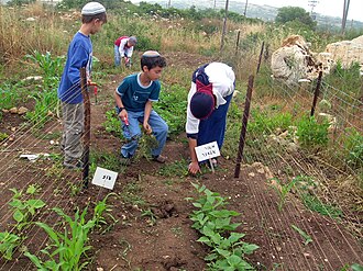 Jewish children in Tal Menashe.