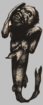 P.T. Barnum's Fiji mermaid (1842)