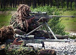 Royal Marines snipers displaying their L115A1 rifles