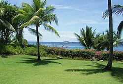 The shadows of trees are the shortest on Earth when the Sun is directly overhead (at the zenith). This happens only at solar noon on certain days in the tropics, where the trees' latitude and the Sun's declination are equal.