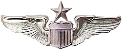 Senior Pilot Badge, World War II U.S. Army Air Forces and U.S. Air Force sample image