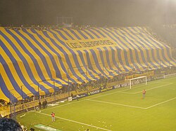 Central fans displaying a gigantic flag.