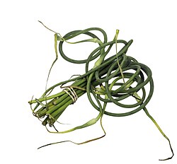 A bundle of garlic scapes