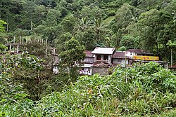 Typical line housing of estate workers