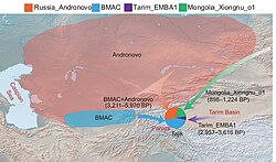 Schematic map showing the possible admixture model for Tajik populations. The time in parentheses represents a range. Arrows in different colours indicate ancestral sources and directions of the gene flow.