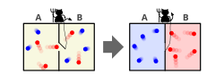 Maxwell's demon, a thought experiment where entropy decreases