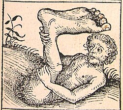 A sciapod, described by Pliny in his Natural History, from the Nuremberg Chronicle (1493)