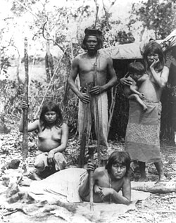 Photo taken between 1890 and 1923 of an indigenous family in Brazil, consisting of 3 adolescent or adult females, an adult male, and a baby. Humans often live in family-based social structures.