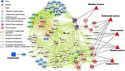 Shows interaction between ADRB2 and cancer-specific genes