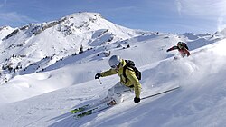 Alpine skiing