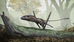 Modern interpretations of the diet of Dimorphodon have challenged traditional ideas of all pterosaurs being piscivorous