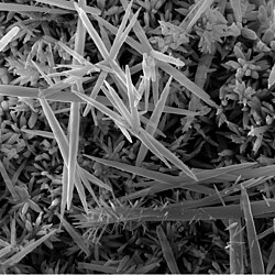 Electron micrograph of needle-like calcium carbonate crystals formed as limescale in a kettle
