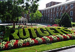 Shrubbery at the College Avenue campus